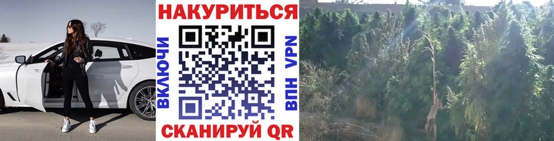 Наркошоп купить Кокаин  Alpha-PVP  Меф мяу мяу  ГАШ  Канабис  Княгинино