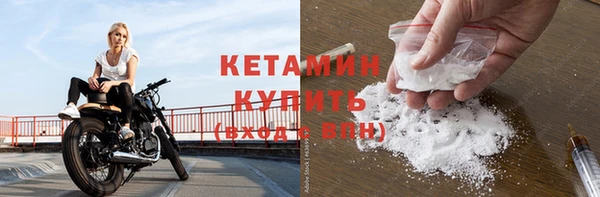 дмт Ельня