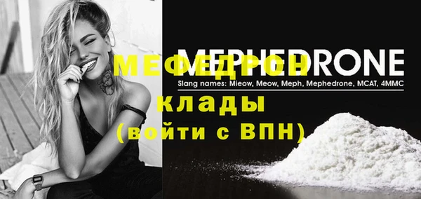дмт Ельня