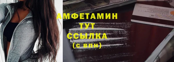 дмт Ельня