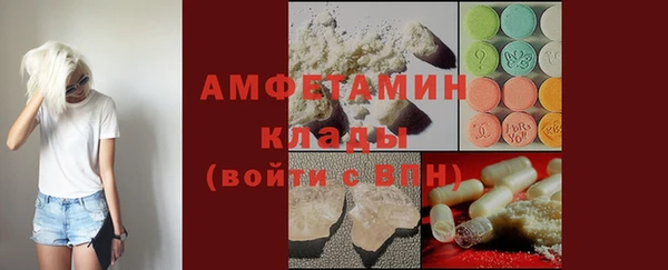 дмт Ельня