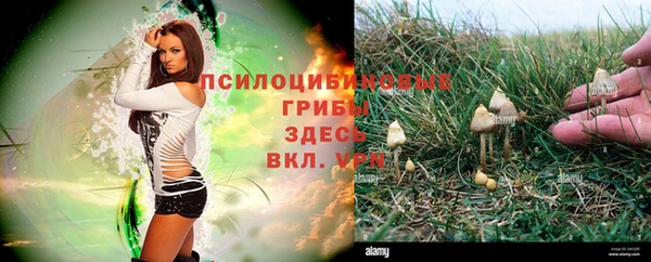 герыч Елизово