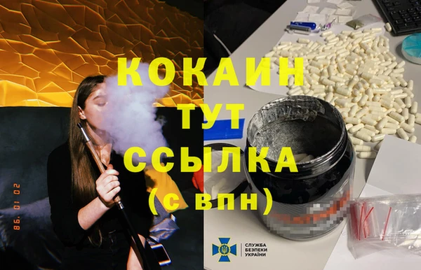 дмт Ельня