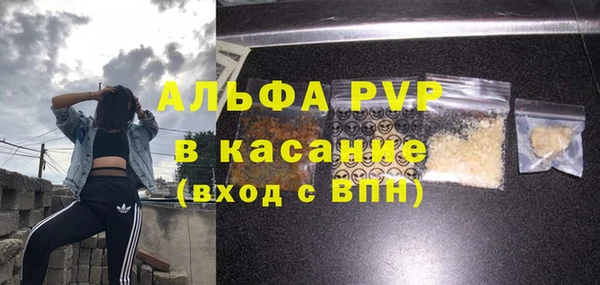дмт Ельня