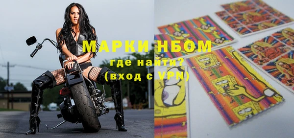 дмт Ельня