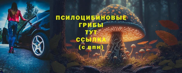 прущие крисы Елабуга