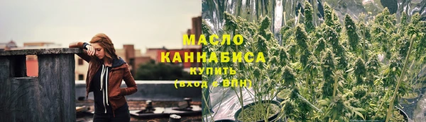 дмт Ельня