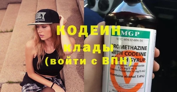 дмт Ельня