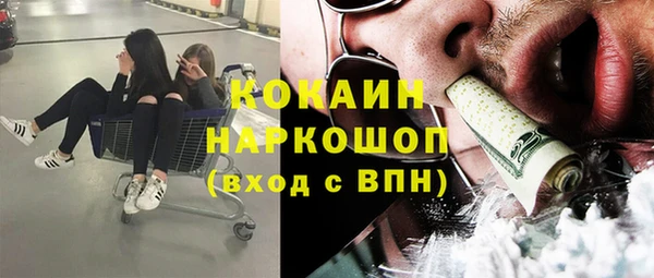 дмт Ельня
