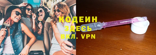 дмт Ельня