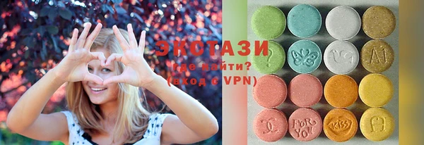 дмт Ельня