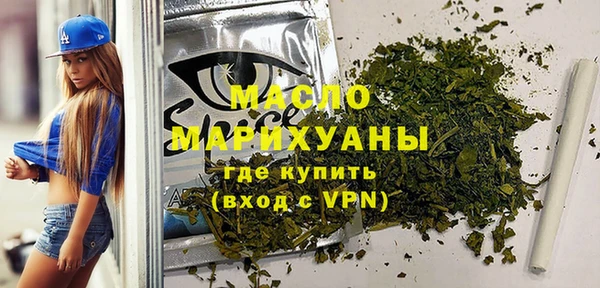 дмт Ельня