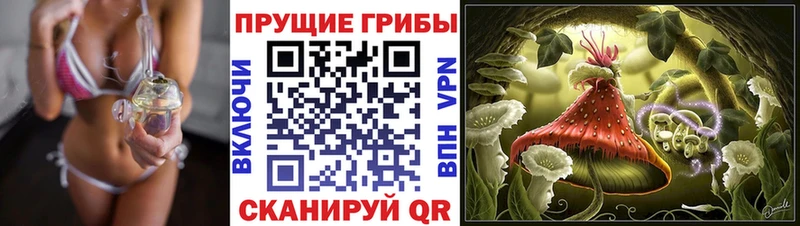 Купить где  Княгинино  Галлюциногенные грибы MAGIC MUSHROOMS 